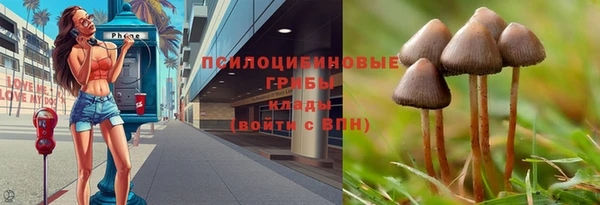 мяу мяу кристалл Богданович