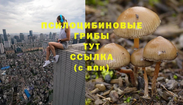 скорость Богородск