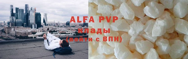 СК Богородицк