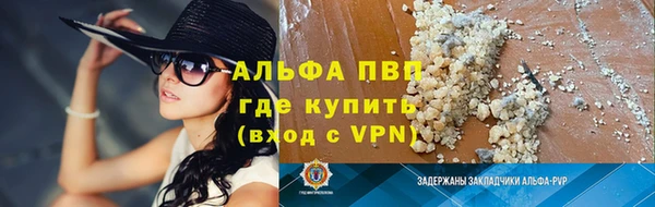 СК Богородицк